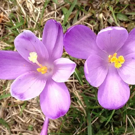 아파트 Donovaly, Panorama 53-b *