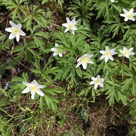 Donovaly, Panorama 53-b 아파트